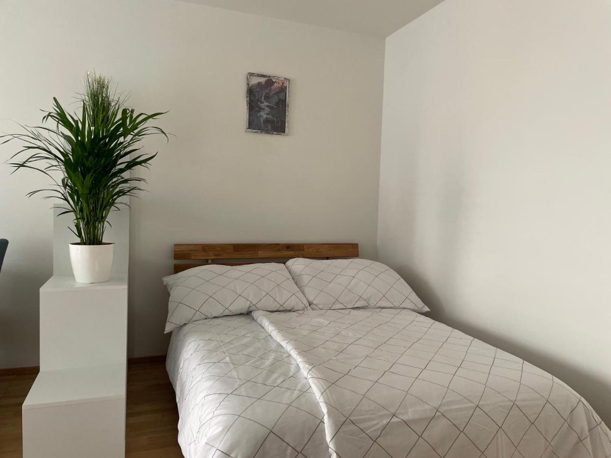 55 M2 Stylish Apartment With Balcony & Parking เวียนนา ภายนอก รูปภาพ